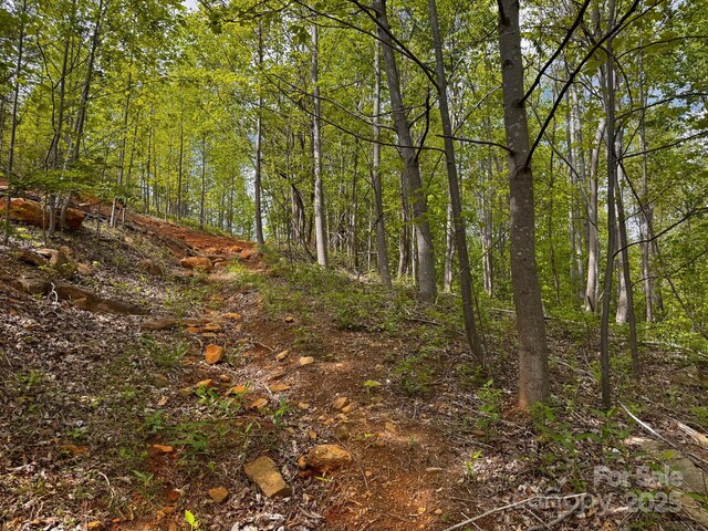 0 Treadway Ridge Dr # 5, Moravian Falls, NC 28654