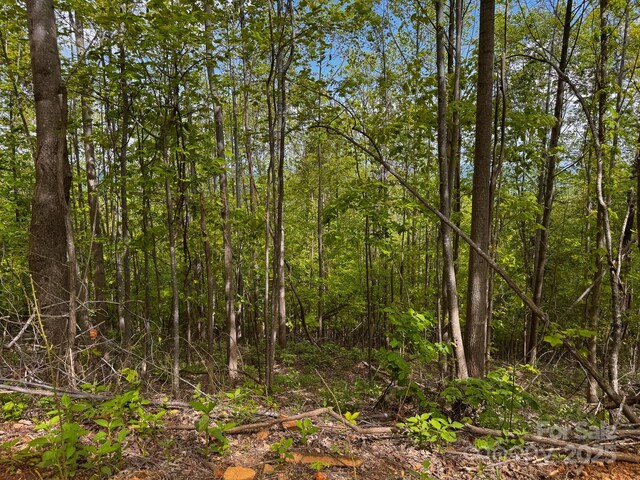 0 Treadway Ridge Dr # 5, Moravian Falls, NC 28654