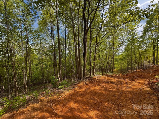 0 Treadway Ridge Dr # 5, Moravian Falls, NC 28654