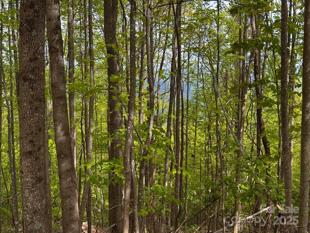 0 Treadway Ridge Dr # 5, Moravian Falls, NC 28654