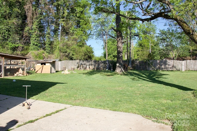 view of yard featuring a patio area and a fenced backyard