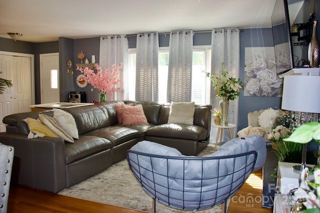 920 Squirrel Hill Rd, Charlotte, NC 28213 - living room featuring wood finished floors