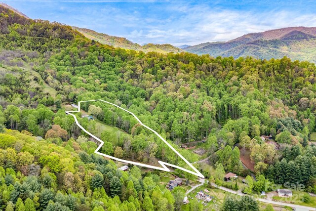 aerial view with a forest view and a mountain view