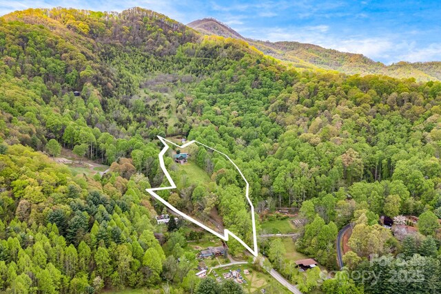 drone / aerial view with a view of trees and a mountain view