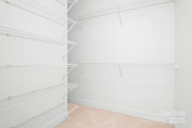 17408 Summer Place Dr, Cornelius, NC 28031 - view of spacious closet
