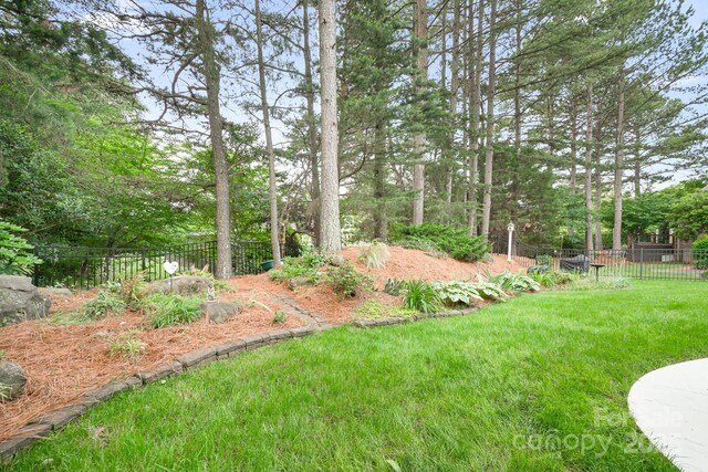 17408 Summer Place Dr, Cornelius, NC 28031 - view of yard