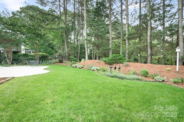 17408 Summer Place Dr, Cornelius, NC 28031 - view of yard with a patio area