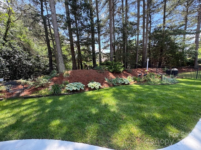 17408 Summer Place Dr, Cornelius, NC 28031 - view of yard