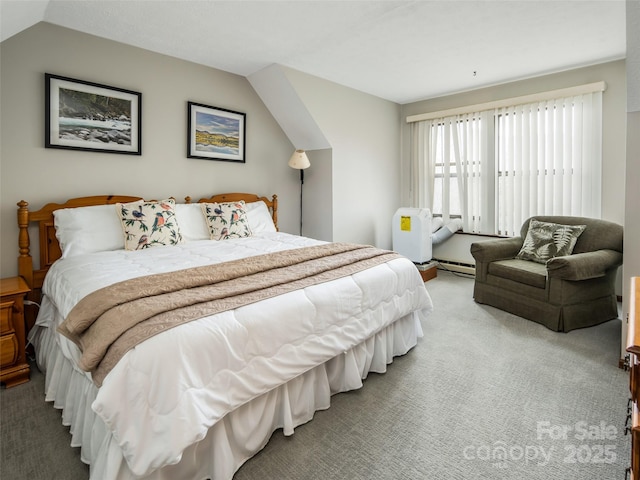 376 Overlook Dr Unit 1, Burnsville, NC 28714 - bedroom featuring carpet floors, a baseboard radiator, and lofted ceiling