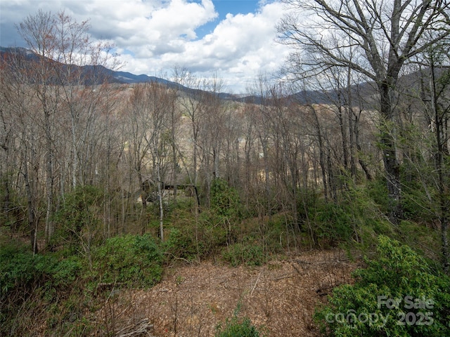 376 Overlook Dr Unit 1, Burnsville, NC 28714 - view of mountain feature with a wooded view
