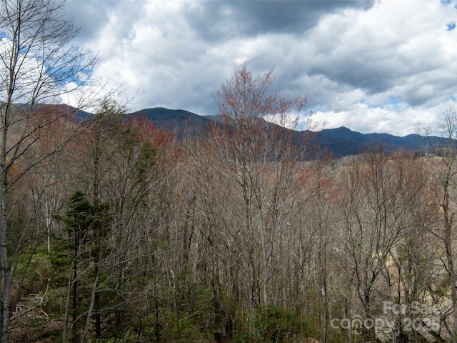 376 Overlook Dr Unit 1, Burnsville, NC 28714 - property view of mountains featuring a wooded view