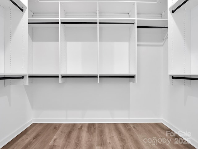 walk in closet featuring wood finished floors