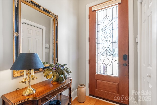 962 Blakeley Walk, Rock Hill, SC 29732 - entryway featuring baseboards, wood finished floors, and a wealth of natural light