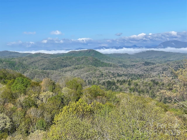 view of mountain feature featuring a wooded view