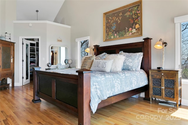 bedroom featuring baseboards, wood finished floors, a towering ceiling, a spacious closet, and a closet