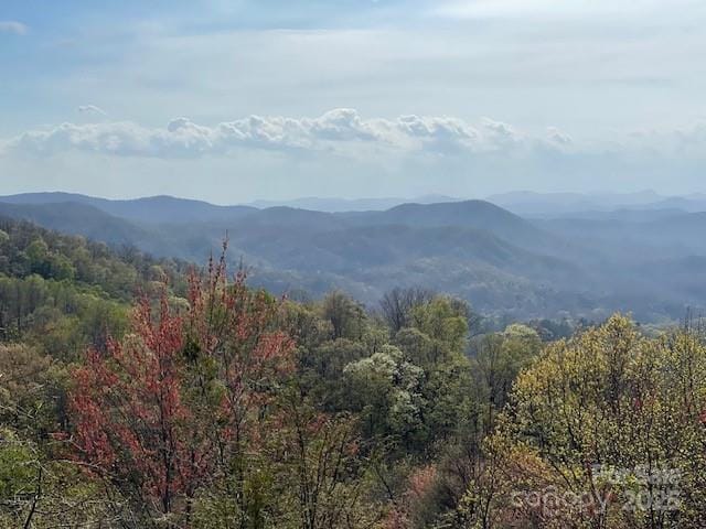 mountain view featuring a view of trees