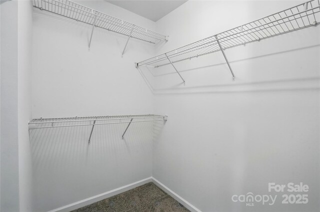 walk in closet featuring carpet floors