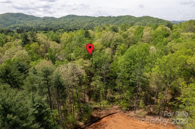 0000 Newcastle Rd Unit 52, Brevard, NC 28712