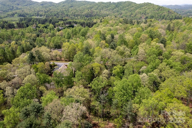 0000 Newcastle Rd Unit 52, Brevard, NC 28712