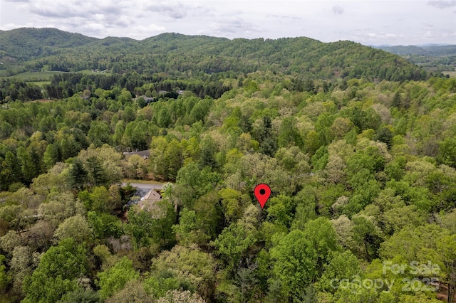 0000 Newcastle Rd Unit 52, Brevard, NC 28712