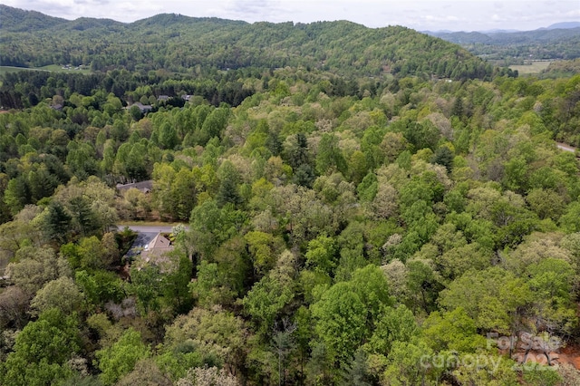 0000 Newcastle Rd Unit 52, Brevard, NC 28712