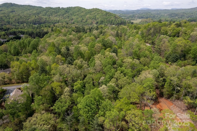 0000 Newcastle Rd Unit 52, Brevard, NC 28712