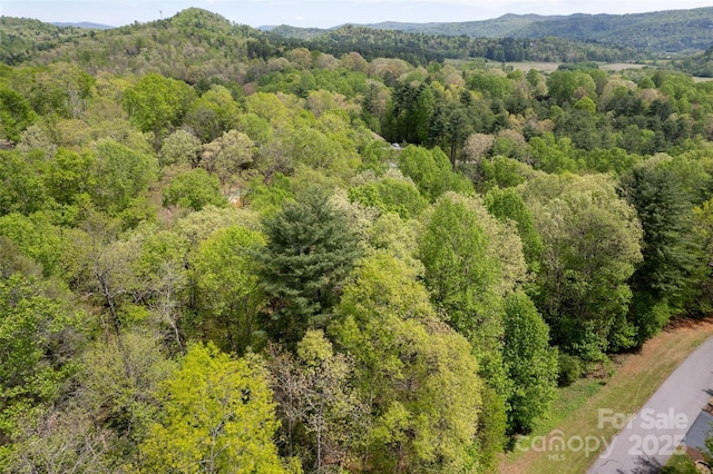 0000 Newcastle Rd Unit 52, Brevard, NC 28712