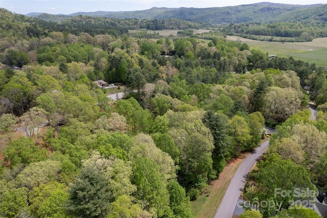 0000 Newcastle Rd Unit 52, Brevard, NC 28712