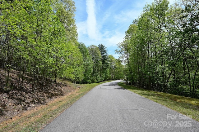 0000 Newcastle Rd Unit 52, Brevard, NC 28712