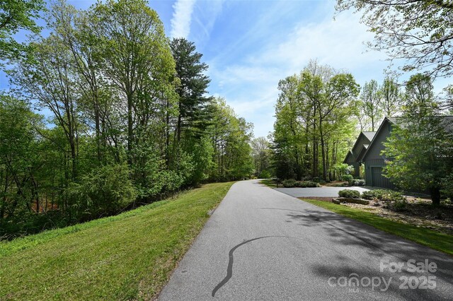 0000 Newcastle Rd Unit 52, Brevard, NC 28712