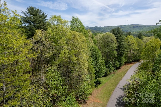 0000 Newcastle Rd Unit 52, Brevard, NC 28712 - photo 9