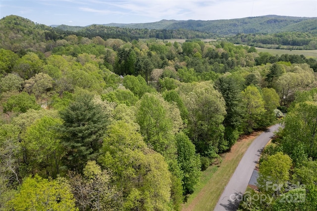 0000 Newcastle Rd Unit 52, Brevard, NC 28712 - photo 10