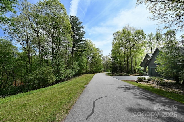 0000 Newcastle Rd Unit 52, Brevard, NC 28712 - photo 19