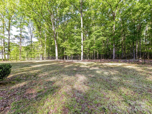 1409 Bloomsberry Ln, Waxhaw, NC 28173 - photo 27
