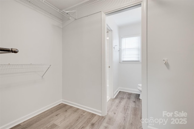 5901 Quail Hollow Rd Unit G, Charlotte, NC 28210 - walk in closet with light wood-type flooring