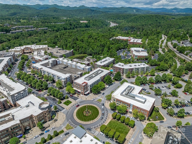 5 Farleigh St Unit 107, Asheville, NC 28803 - photo 33