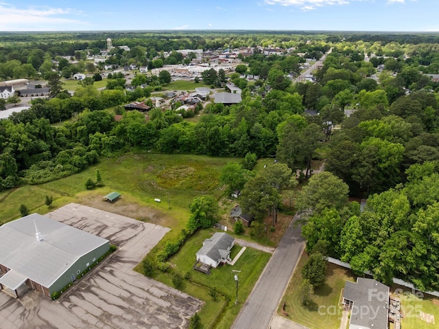 809 1st St E, Ahoskie, NC 27910 - aerial view of residential area