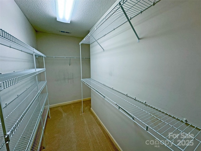 904 3rd Street Pl NE, Conover, NC 28613 - walk in closet with carpet floors and visible vents
