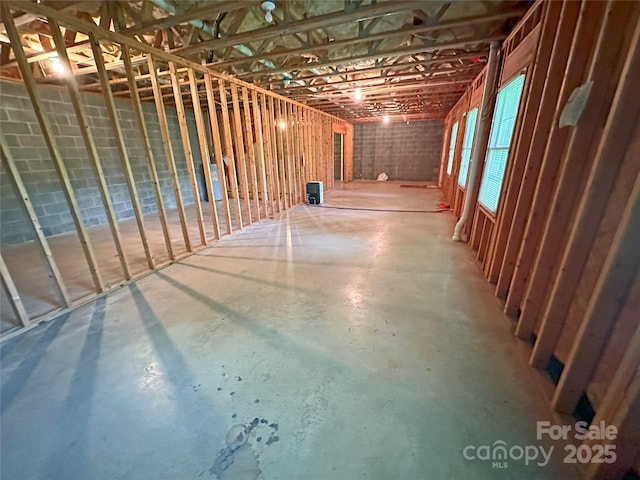 904 3rd Street Pl NE, Conover, NC 28613 - view of below grade area