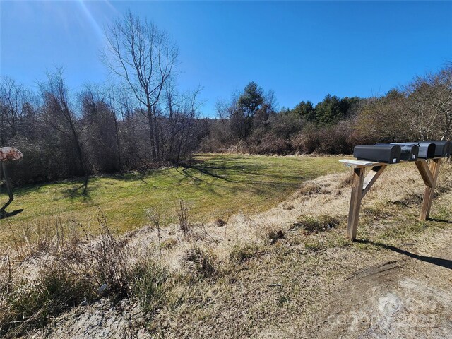 5 Becky Ln, Fairview, NC 28730 - view of yard