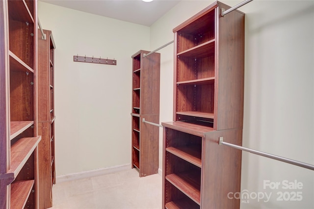 view of walk in closet