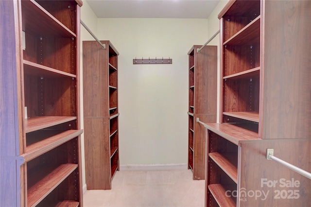view of walk in closet