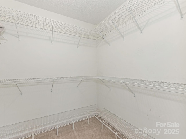 8251 Tradd Ct, Charlotte, NC 28210 - spacious closet with carpet flooring