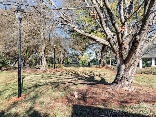 8251 Tradd Ct, Charlotte, NC 28210 - view of grassy yard