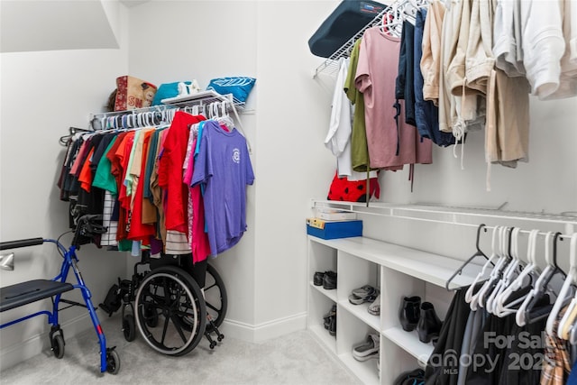 walk in closet with carpet flooring
