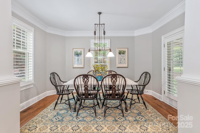 dining area featuring a wealth of natural light, crown molding, and wood finished floors
