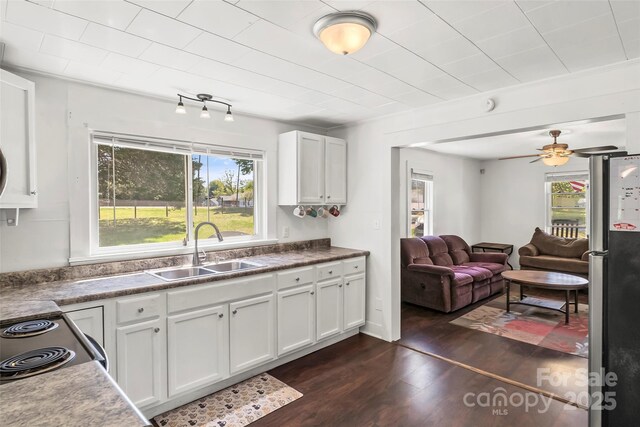 kitchen with white cabinetry, a sink, and dark wood-style floors