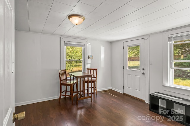 dining area with dark wood-style flooring, a wealth of natural light, and baseboards