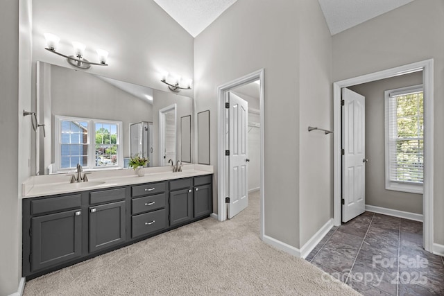 9000 Stourbridge Dr, Huntersville, NC 28078 - full bathroom with a sink, baseboards, a healthy amount of sunlight, and lofted ceiling