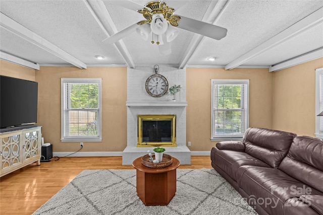 6035 Idlebrook Dr, Charlotte, NC 28212 - living area featuring a textured ceiling, wood finished floors, ceiling fan, beam ceiling, and healthy amount of natural light